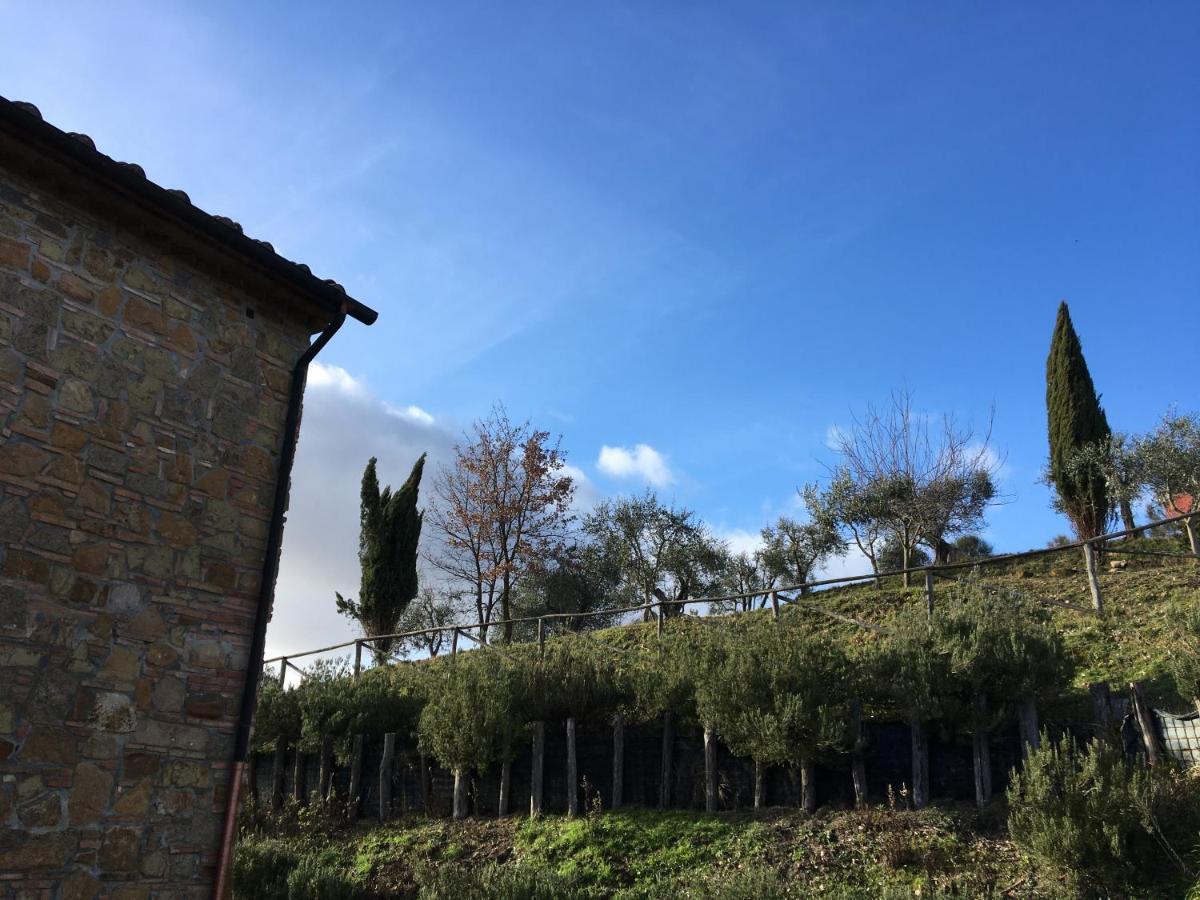 Villa Ledonia Montaione Exterior photo